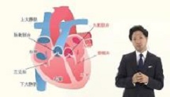 研修医のための内科ベーシック2 循環器内科 | 第10回　心臓の解剖生理と心音の関係