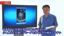 Dr.ゴン流ポケットエコー簡単活用術 | 第4回　腹部の評価(1)