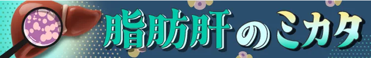 脂肪肝のミカタのバナー