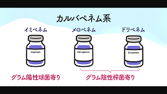 Dr.伊東の東大式ストーリーで語る抗菌薬 | 第7回　カルバペネム系