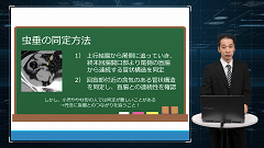 研修医のための画像診断 | 第7回　救急画像　腹部救急編