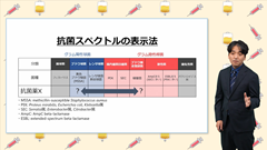 研修医のための抗菌薬の使い方 | 第3回 セファロスポリン系薬 研修医のための抗菌薬の使い方 | 第3回 セファロスポリン系薬