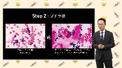 研修医のための抗菌薬の使い方 | 第9回　グラム陽性球菌に対する治療