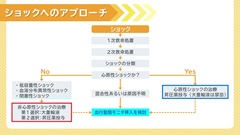 Dr.田中和豊の血液検査指南　臓器不全編 | 第5回　循環不全1　ショック