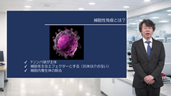 伊東直哉の がん患者の感染症診療スタンダード | 第5回　細胞性免疫不全