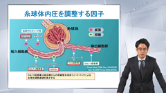 総合内科専門医試験オールスターレクチャー　腎臓 | 第4回　CKD