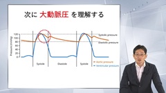 総合内科専門医試験オールスターレクチャー　循環器 | 第5回　圧曲線