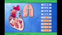 出直し看護塾－呼吸管理に関する基礎知識－ | 第2回 弱点克服！血液ガス