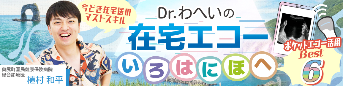 Dr.わへいの在宅エコー　いろはにほへ